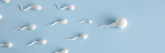 Healthier Sperm Counts. Healthy Sperm, Counts