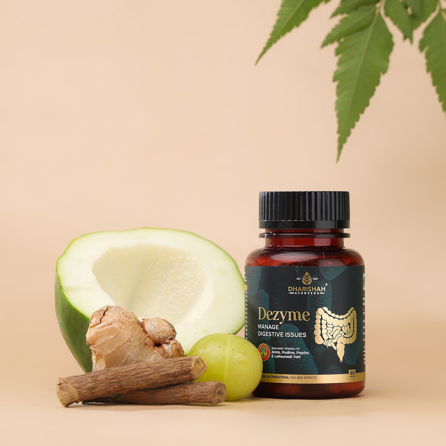 Dharishah Dezyme digestive supplement with natural ingredients.