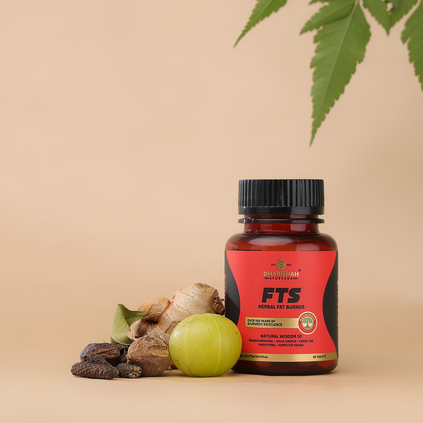 FTS Tablets