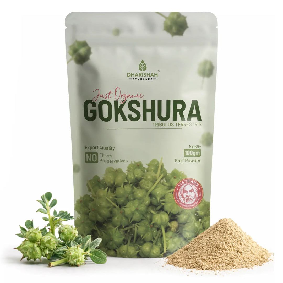 Gokshura Powder 100g pouch — Dharishah Ayurveda Tribulus terrestris