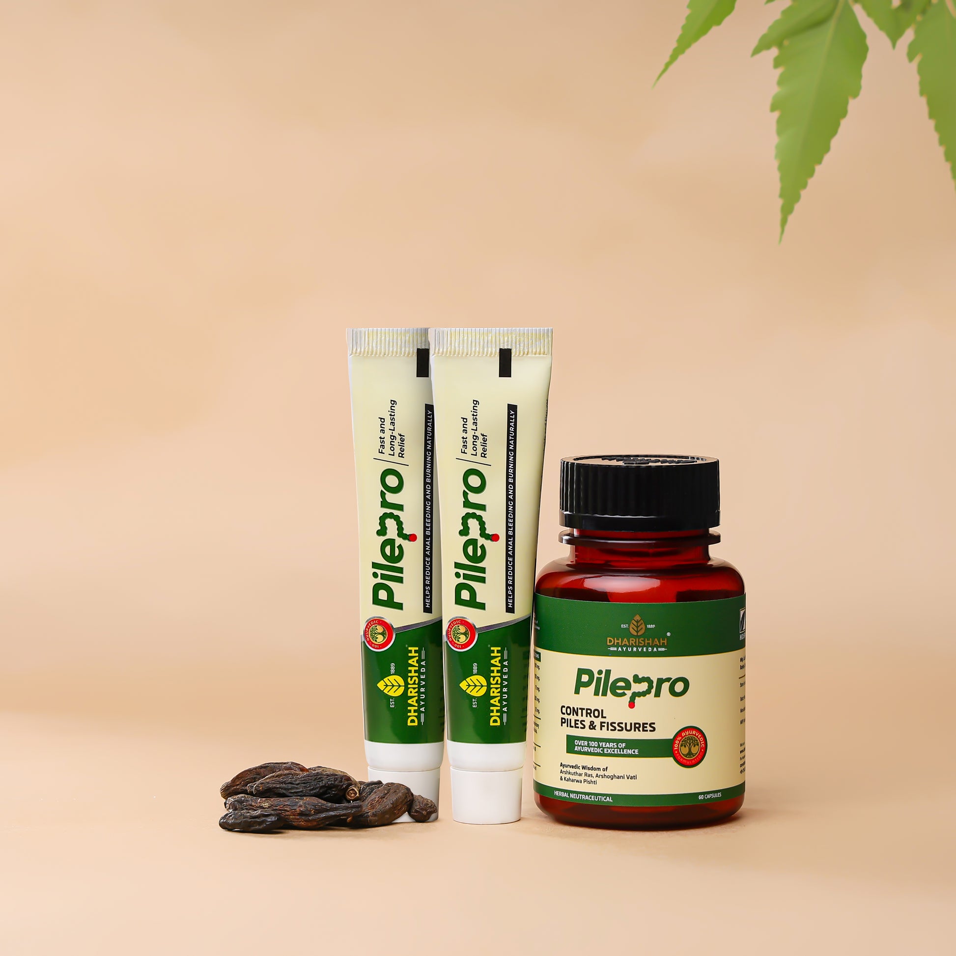 Dharishah Ayurveda Pilepro pack – natural Ayurvedic care for piles, fissures, and pain relief.