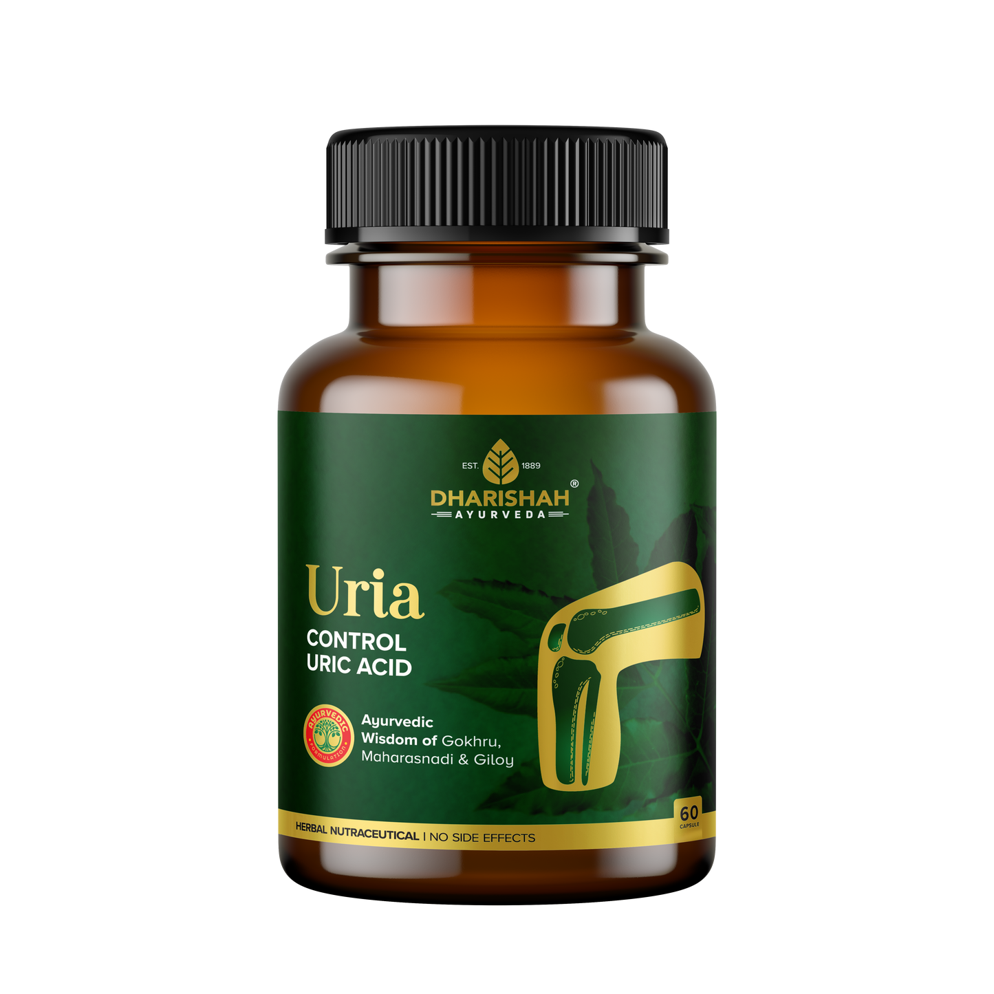 Uria Capsules for kidney health and uric acid balance