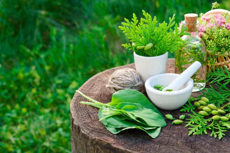 Ayurveda Vs. Allopathy: Choosing the Right Path to Wellness