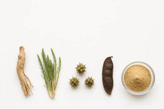 Top-down flat-lay of classical Ayurvedic herbs traditionally used for Swapnadosh — dried Ashwagandha root, Shatavari shoots, Gokshura seed pods, Kapikachchu velvet bean, and milled herbal powder in a glass apothecary dish on a clean off-white surface