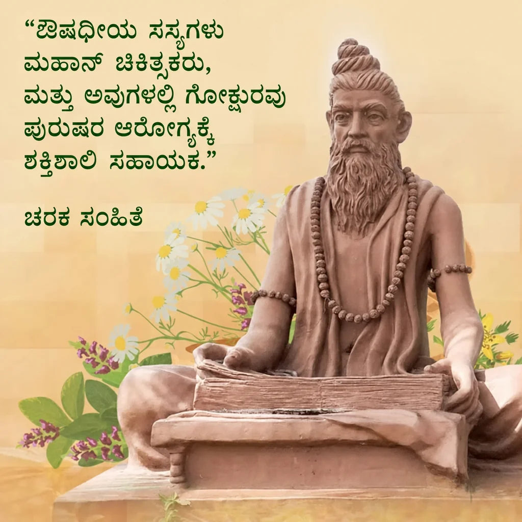 Prostpro ಕ್ಯಾಪ್ಸುಲ್ಗಳು