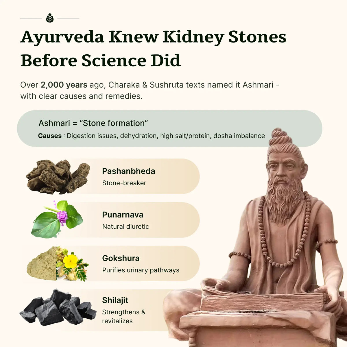 एस. क्रश गोलियाँ image 6