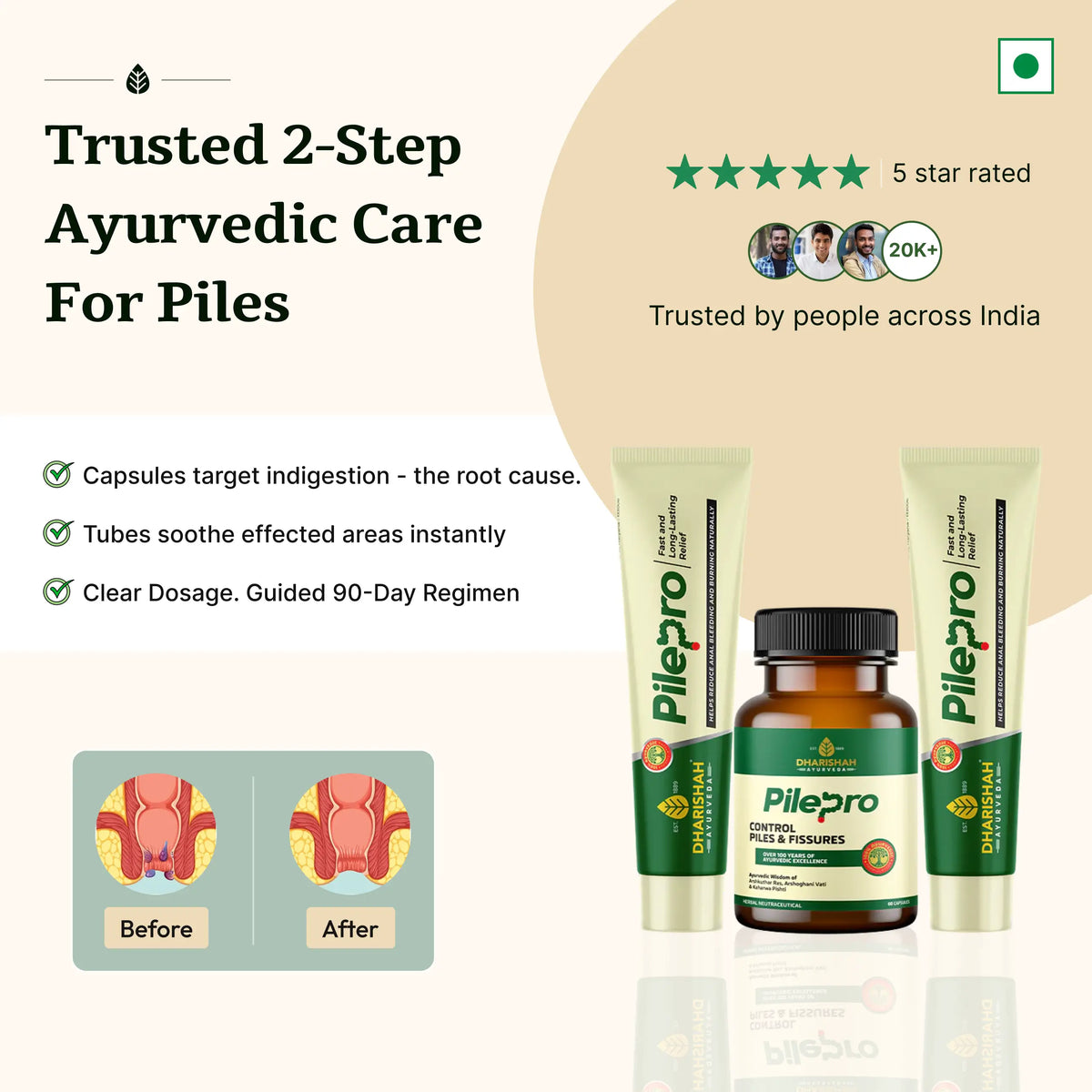 Pilepro Combo image 2