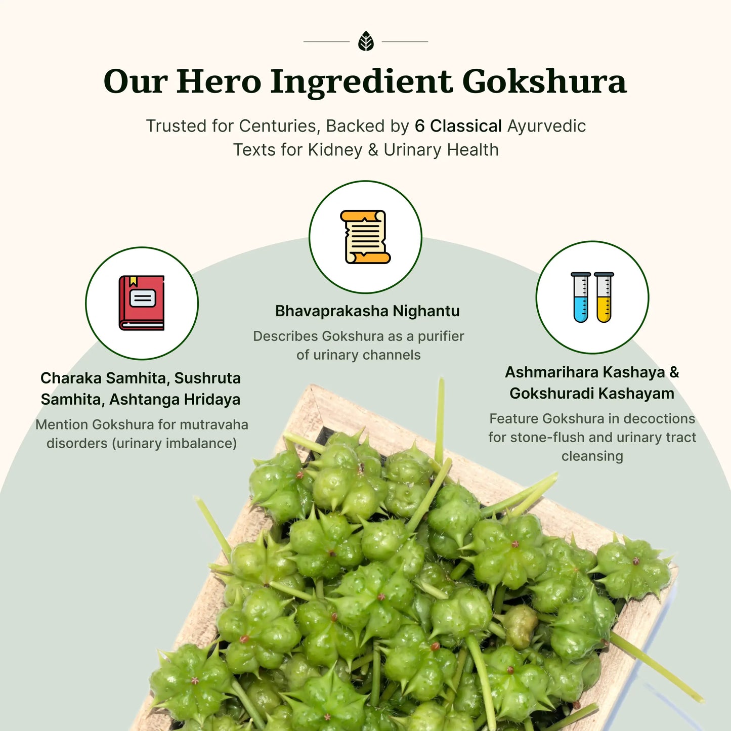 एस. क्रश गोलियाँ