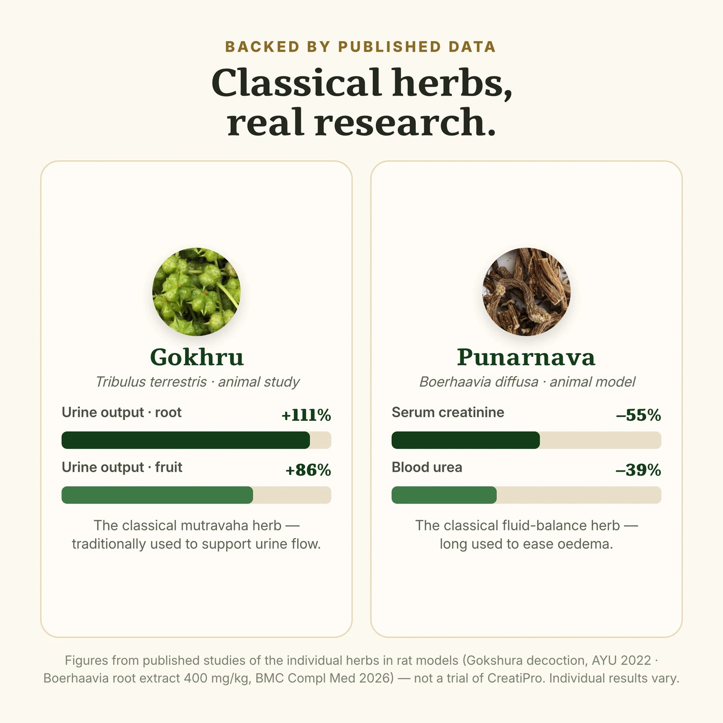 Gokhru & Punarnava — published research on the herbs