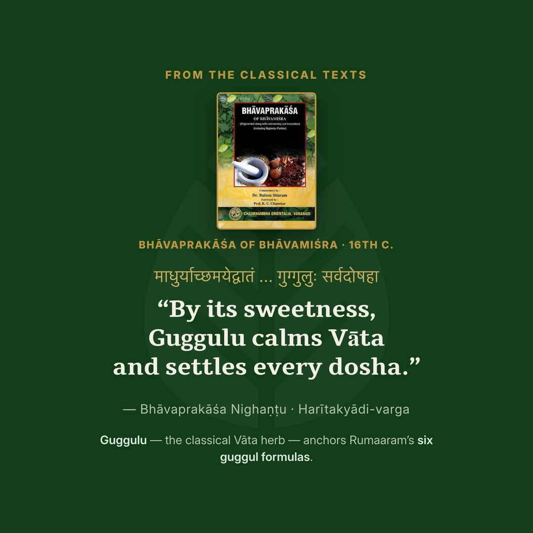 Classical Ayurvedic verse on Guggulu from the Bhavaprakasha of Bhavamisra
