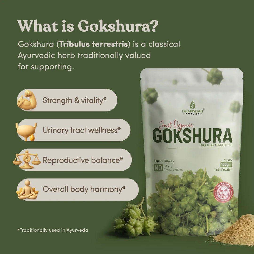 Gokshura fruit powder texture — fine stone-ground Tribulus