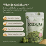 Gokshura fruit powder texture — fine stone-ground Tribulus