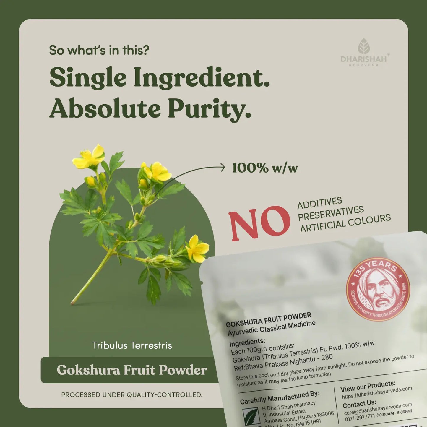 Gokshura benefits — vitality, kidney support, urinary health