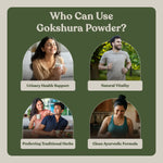 Tribulus terrestris fruit — whole and powdered Ayurvedic herb