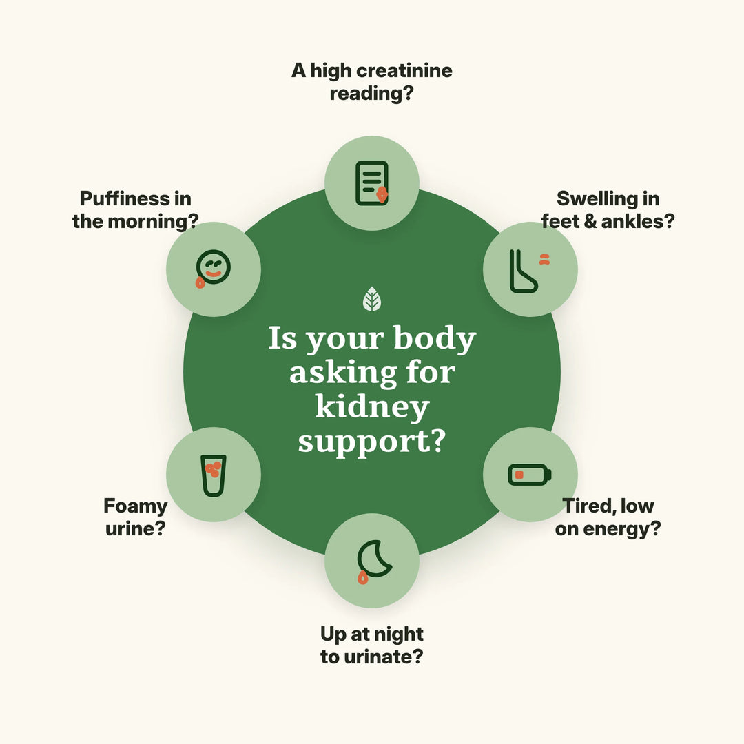 Signs your body may need kidney support
