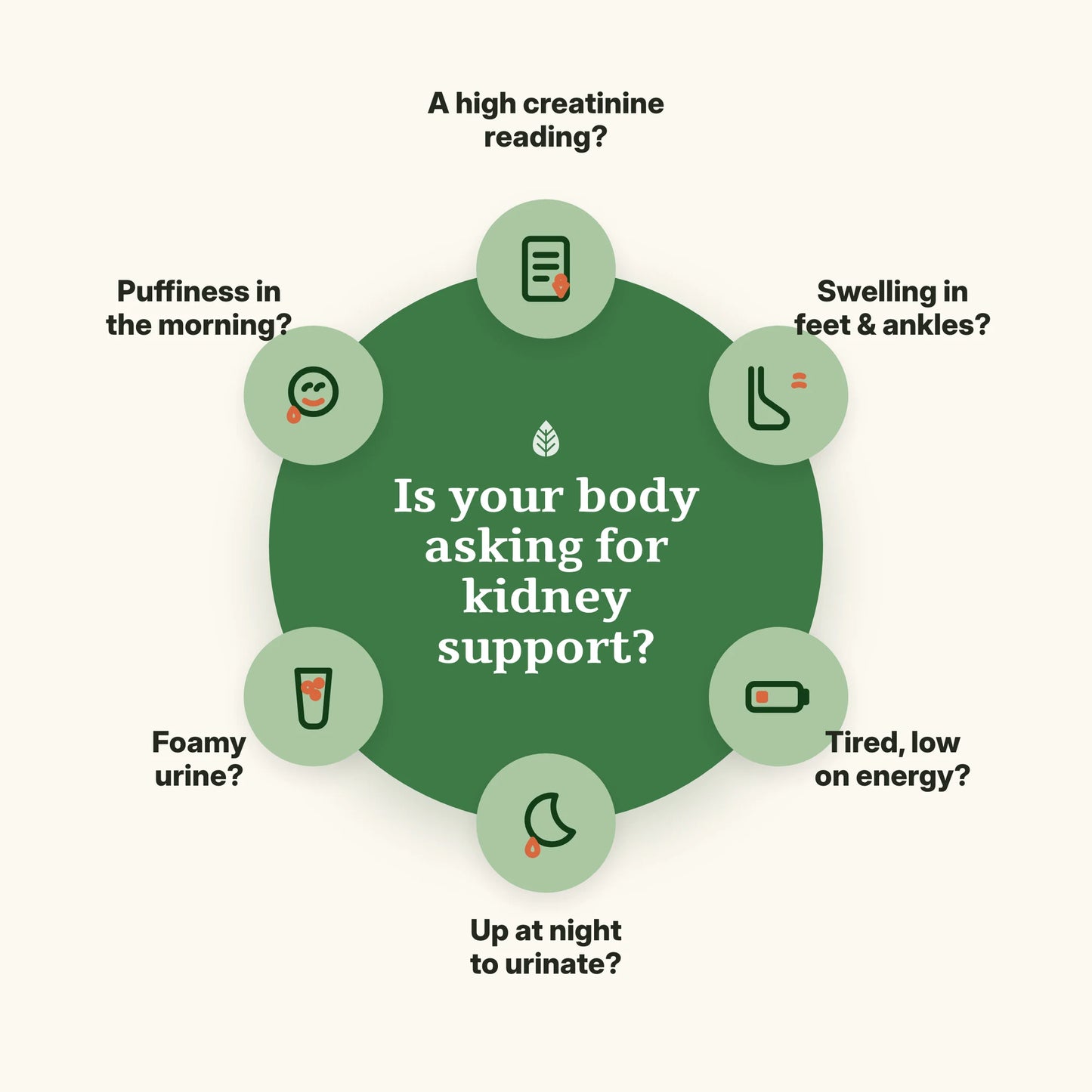 Signs your body may need kidney support