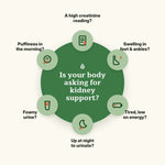 Signs your body may need kidney support