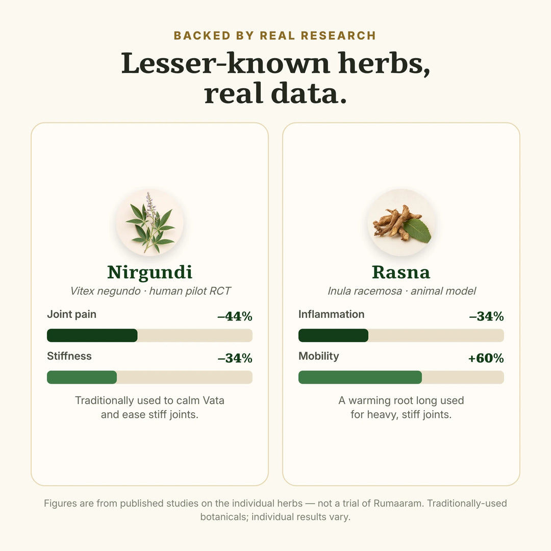 Research on Nirgundi and Rasna for joint pain and mobility