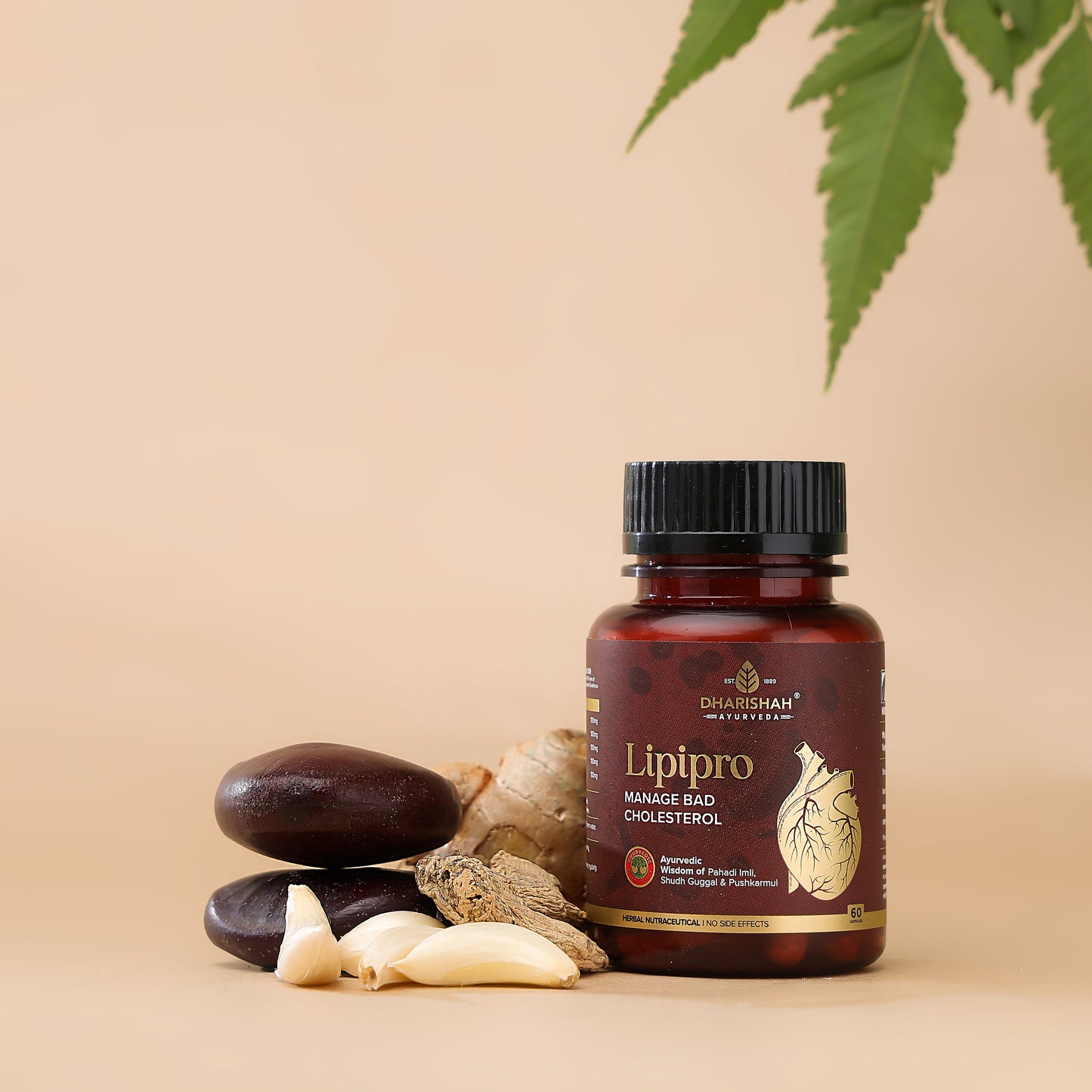 Lipipro Capsules