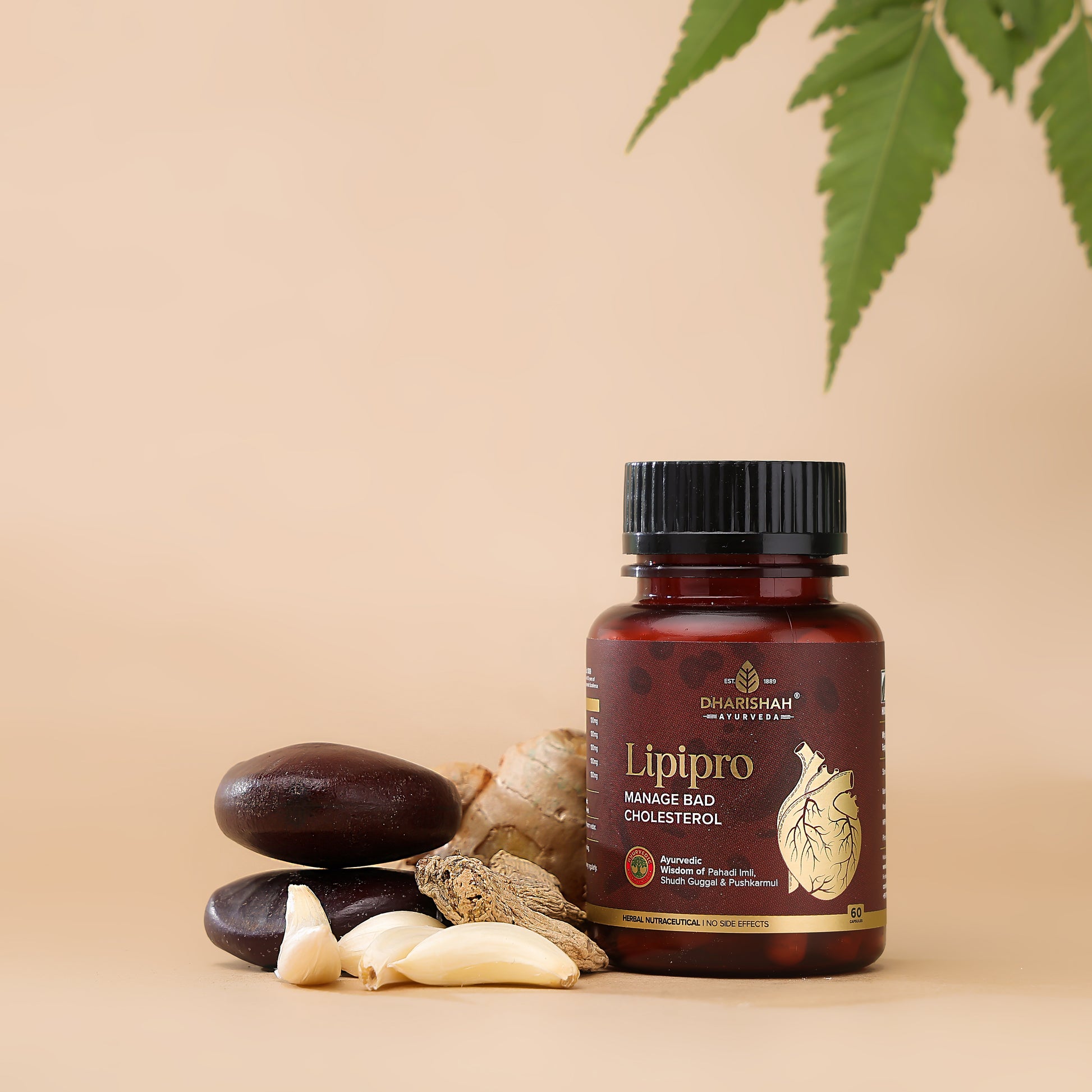 Lipipro Capsules