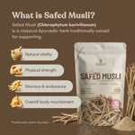 Safed Musli root powder texture — fine stone-ground