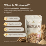 Shatavari root powder texture — fine stone-ground