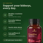 CreatiPro benefits — creatinine, kidney function, detox, water retention