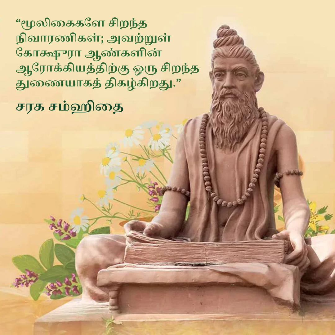 ப்ரோஸ்ட்ப்ரோ கேப்சூல்கள்