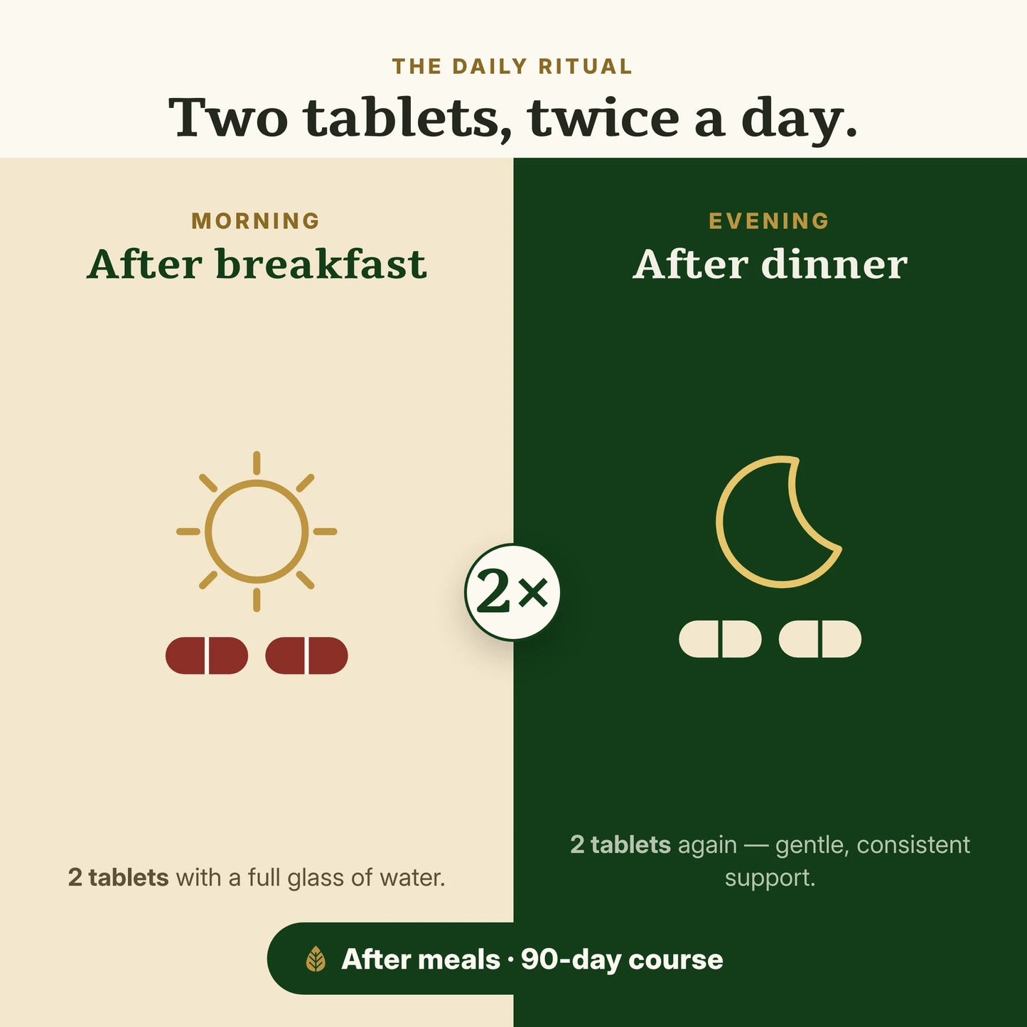 CreatiPro dosage — two tablets twice a day after meals