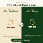 CreatiPro dosage — two tablets twice a day after meals