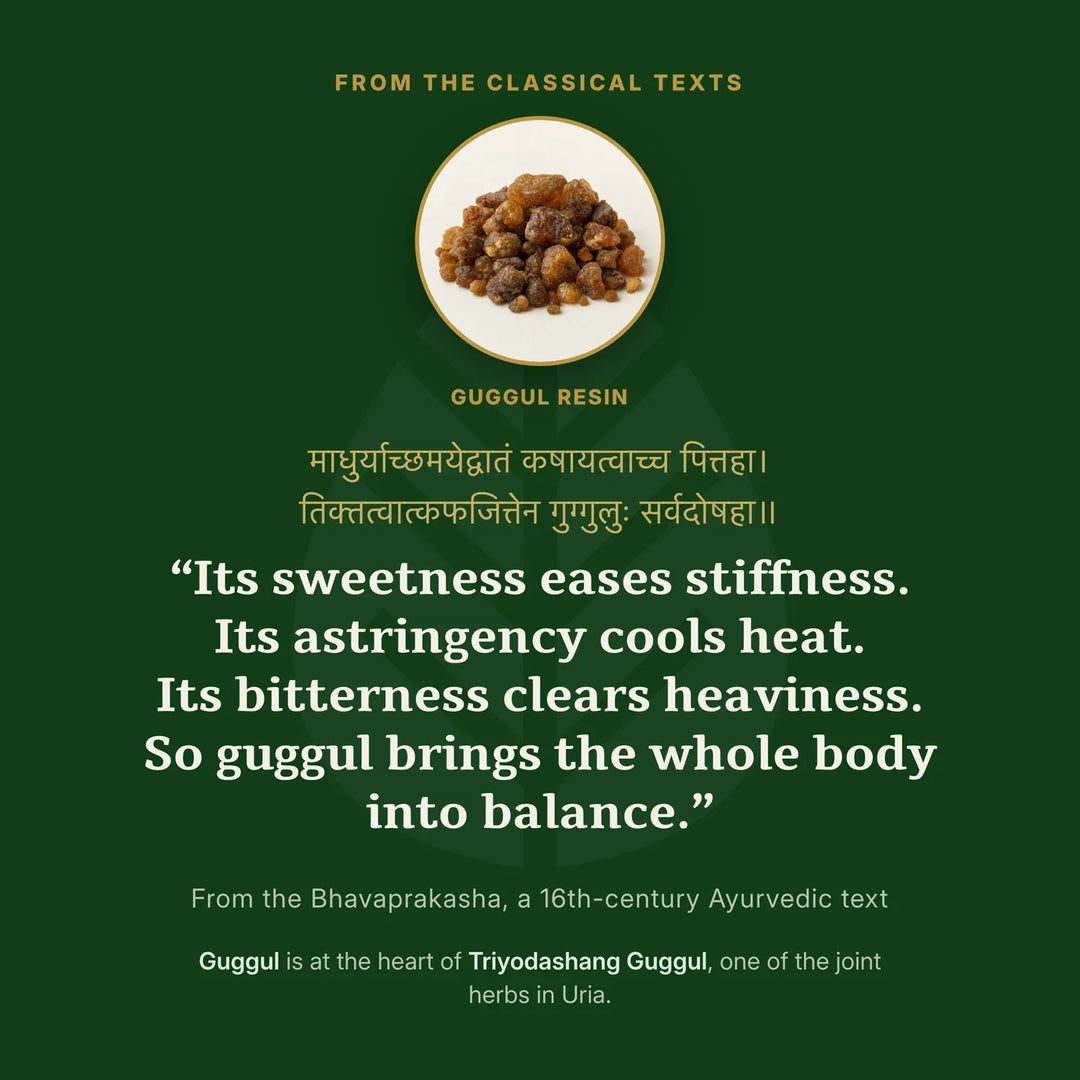 Guggul resin, with a verse from a classical Ayurvedic text