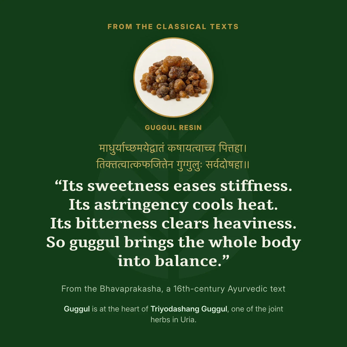 Guggul resin, with a verse from a classical Ayurvedic text