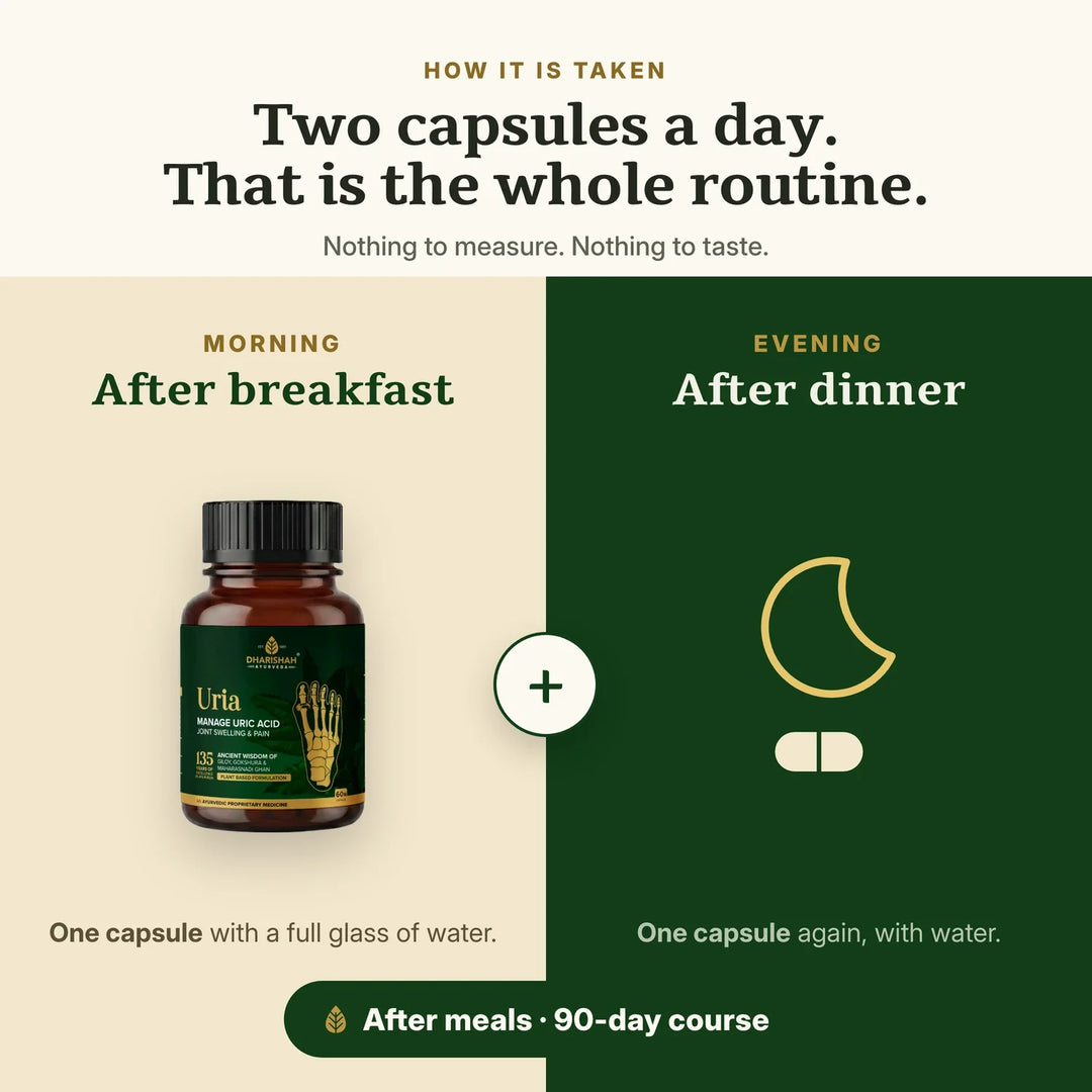 How to take Uria: one capsule twice a day after meals