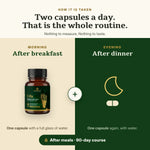 How to take Uria: one capsule twice a day after meals