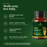 Uria benefits: healthy uric acid levels, joint comfort, less swelling, a 90-day course