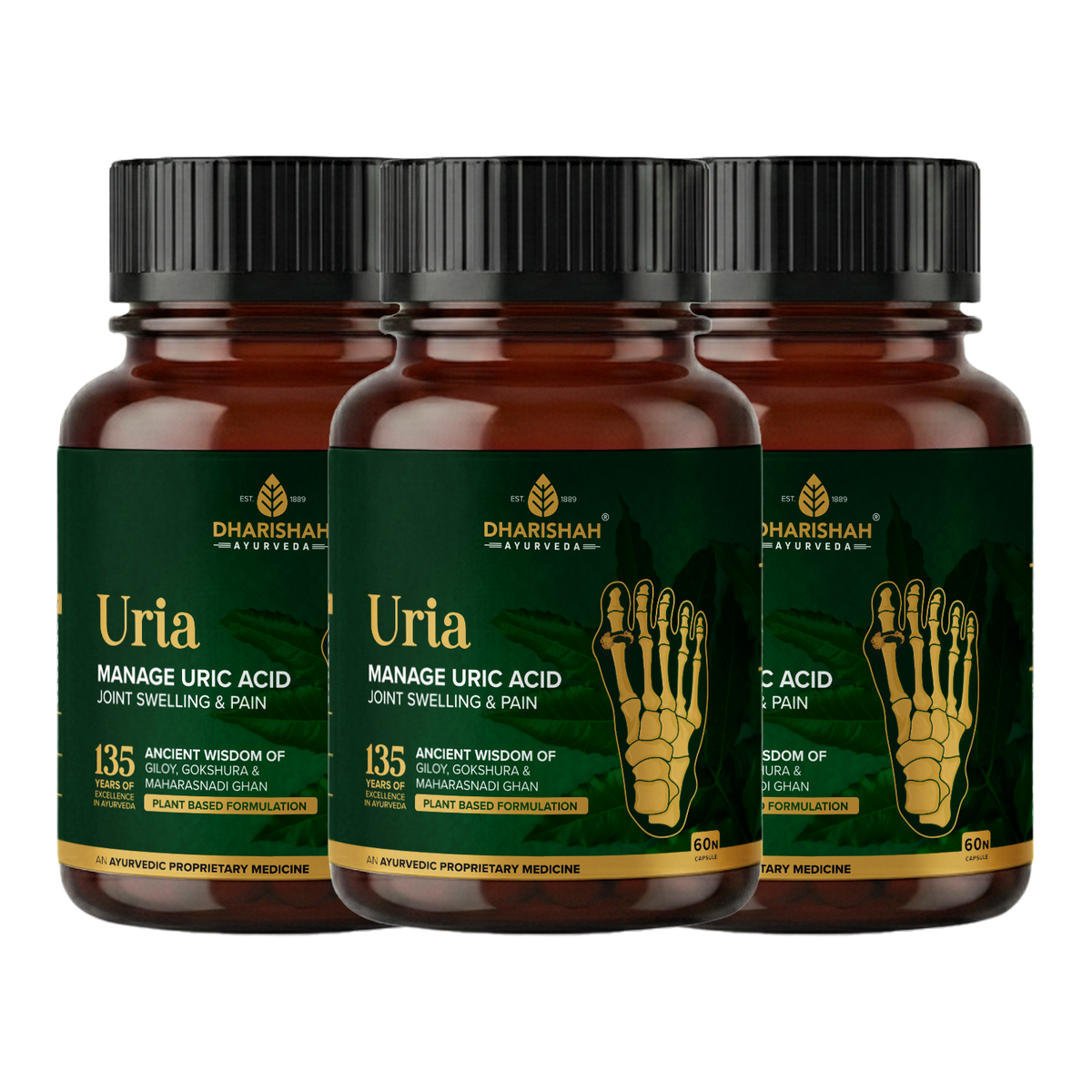 Uria Full Course Pack