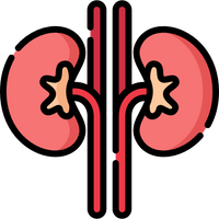 Kidney Care